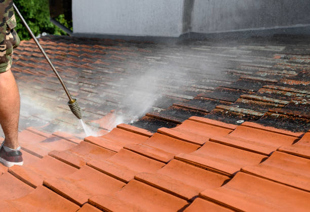 Best Sidewalk Pressure Washing  in Mitchell, SD